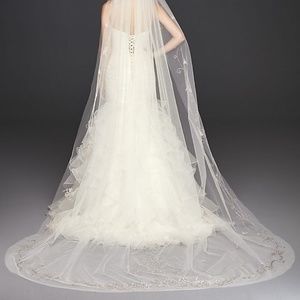 David's Bridal Dresses - Veil David's Bridal Dresses - Veil